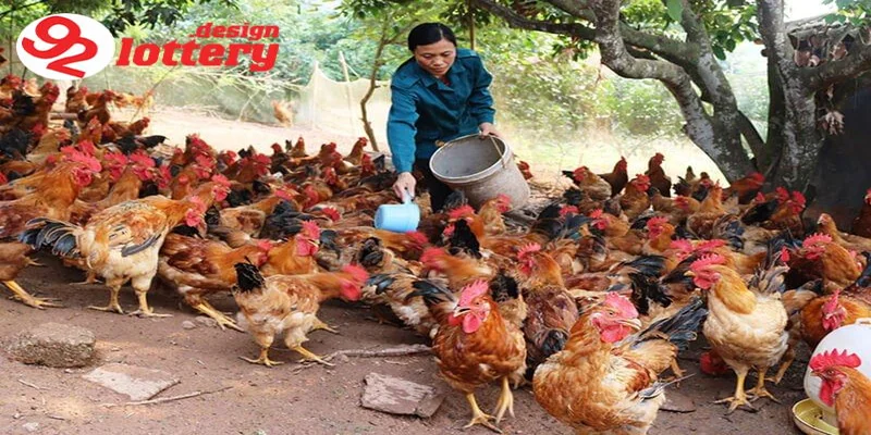 Thức Ăn Gà Đá – Chế Độ Dinh Dưỡng Giúp Gà Sung, Bo Lớn Nhanh 6 Các loại thức ăn gà đá phổ biến hiện nay